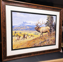 Load image into Gallery viewer, Ken Carlson Challenge At Banded Peaks GiClee Full Sheet - Brand New Super Custom Sporting Frame