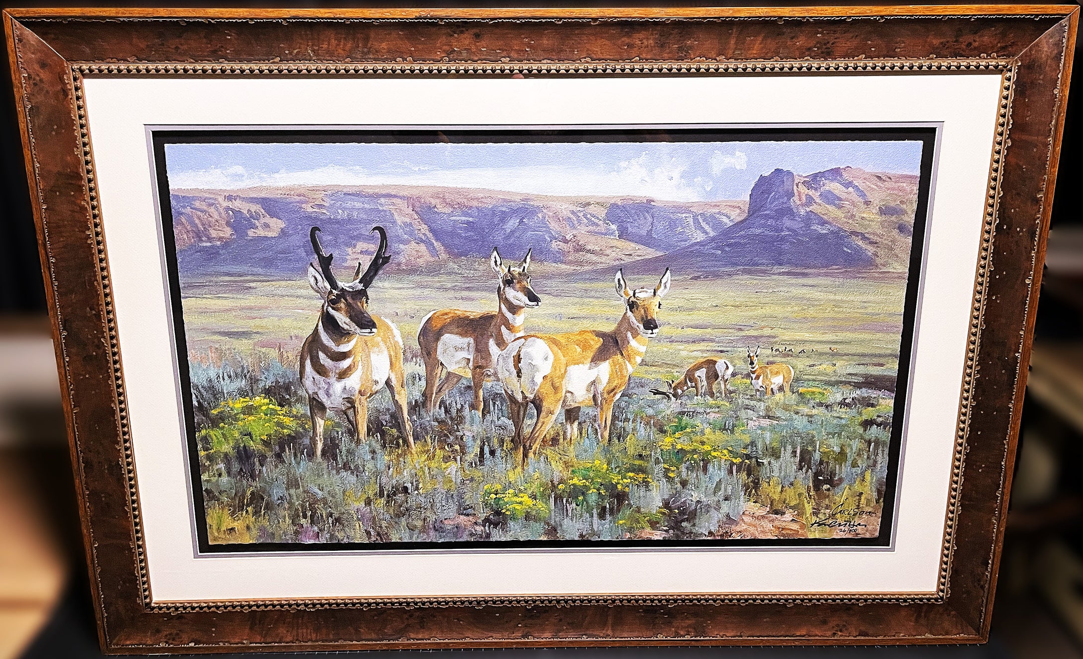 Ken Carlson High Plains Pronghorn GiClee Full Sheet - Brand New Super Custom Sporting Frame