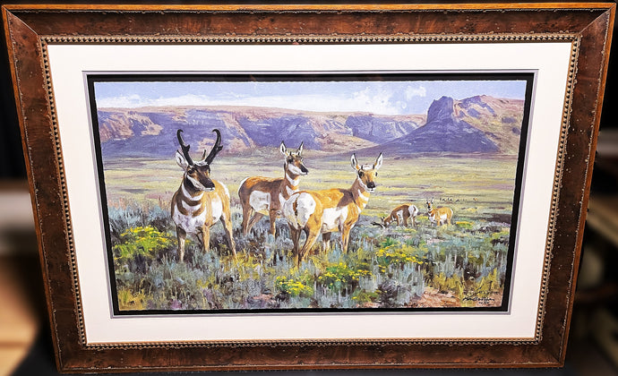 Ken Carlson High Plains Pronghorn GiClee Full Sheet - Brand New Super Custom Sporting Frame