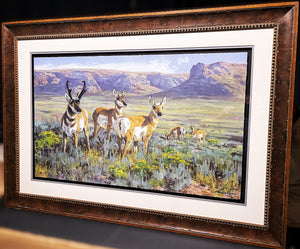 Ken Carlson High Plains Pronghorn GiClee Full Sheet - Brand New Super Custom Sporting Frame