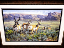 Load image into Gallery viewer, Ken Carlson High Plains Pronghorn GiClee Full Sheet - Brand New Super Custom Sporting Frame