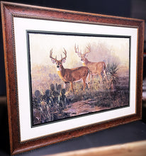 Load image into Gallery viewer, Ken Carlson Monster In The Mist GiClee Full Sheet Rare - Brand New Super Custom Sporting Frame