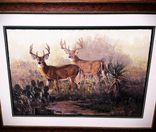 Load image into Gallery viewer, Ken Carlson Monster In The Mist GiClee Full Sheet Rare - Brand New Super Custom Sporting Frame