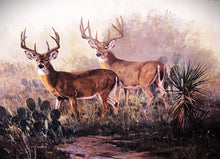 Load image into Gallery viewer, Ken Carlson Monster In The Mist GiClee Full Sheet Rare - Brand New Super Custom Sporting Frame