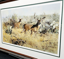 Load image into Gallery viewer, Ken Carlson Rio Grande Vigil Lithograph Classic Whitetail Year 1982 - Brand New Super Custom Sporting Frame