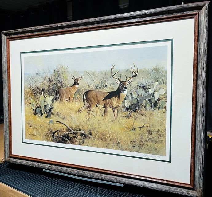 Ken Carlson Rio Grande Vigil Lithograph Classic Whitetail Year 1982 - Brand New Super Custom Sporting Frame
