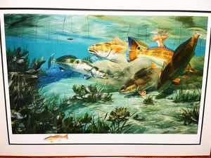 Larry Haines Oyster Bar Lithograph Redfish Remarque - Brand New Custom Sporting Frame
