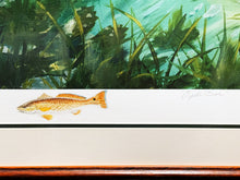 Load image into Gallery viewer, Larry Haines Oyster Bar Lithograph Redfish Remarque - Brand New Custom Sporting Frame