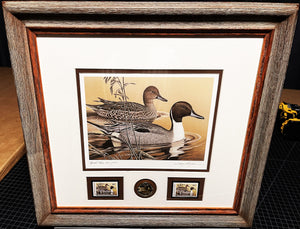 Larry Hayden 1984 Arkansas Waterfowl Hunting And Conservation Special Medallion Edition Stamp Print With Double Stamps - Brand New Super Custom Sporting Frame