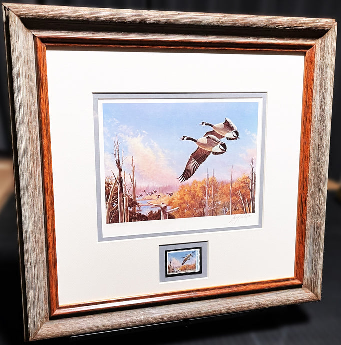 Larry Toshik 1987 Ducks Unlimited Stamp Print With Stamp - Brand New Super Custom Sporting Frame