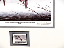 Load image into Gallery viewer, Les Kouba 1983 National Waterfowl Conservation Stamp Print With Stamp - Artist Proof  - Brand New Super Custom Sporting Frame