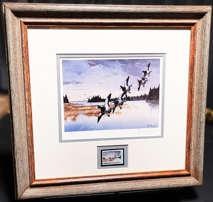 Les Kouba 1988 Ducks Unlimited Canada Stamp Print With Stamp - Brand New Super Custom Sporting Frame