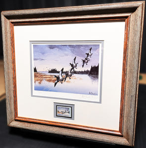 Les Kouba 1988 Ducks Unlimited Canada Stamp Print With Stamp - Brand New Custom Sporting Frame