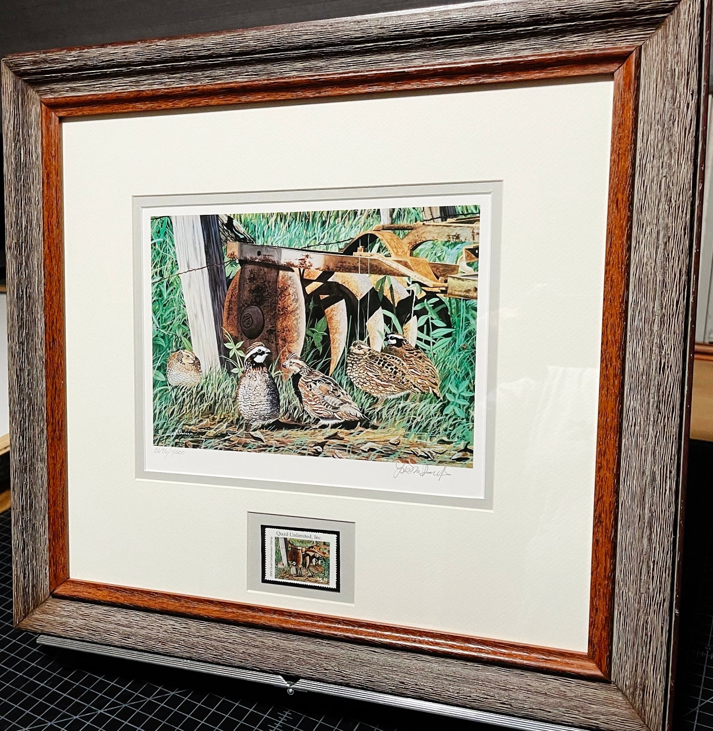 Les McDonald 2002 Quail Unlimited Stamp Print With Stamp - Brand New Custom Sporting Frame  *** SPRING SPECIAL  ***