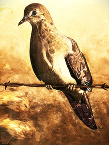 Les McDonald Barbed Wire Lookout GiClee Half Sheet Mourning Dove 1 Of 200 - Brand New Custom Sporting Frame
