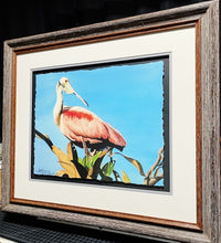 Load image into Gallery viewer, Les McDonald Tree Top Roseate GiClee Half Sheet Artist Proof - Brand New Super Custom Sporting Frame