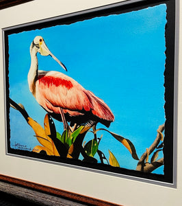 Les McDonald Tree Top Roseate GiClee Half Sheet Artist Proof - Brand New Custom Sporting Frame