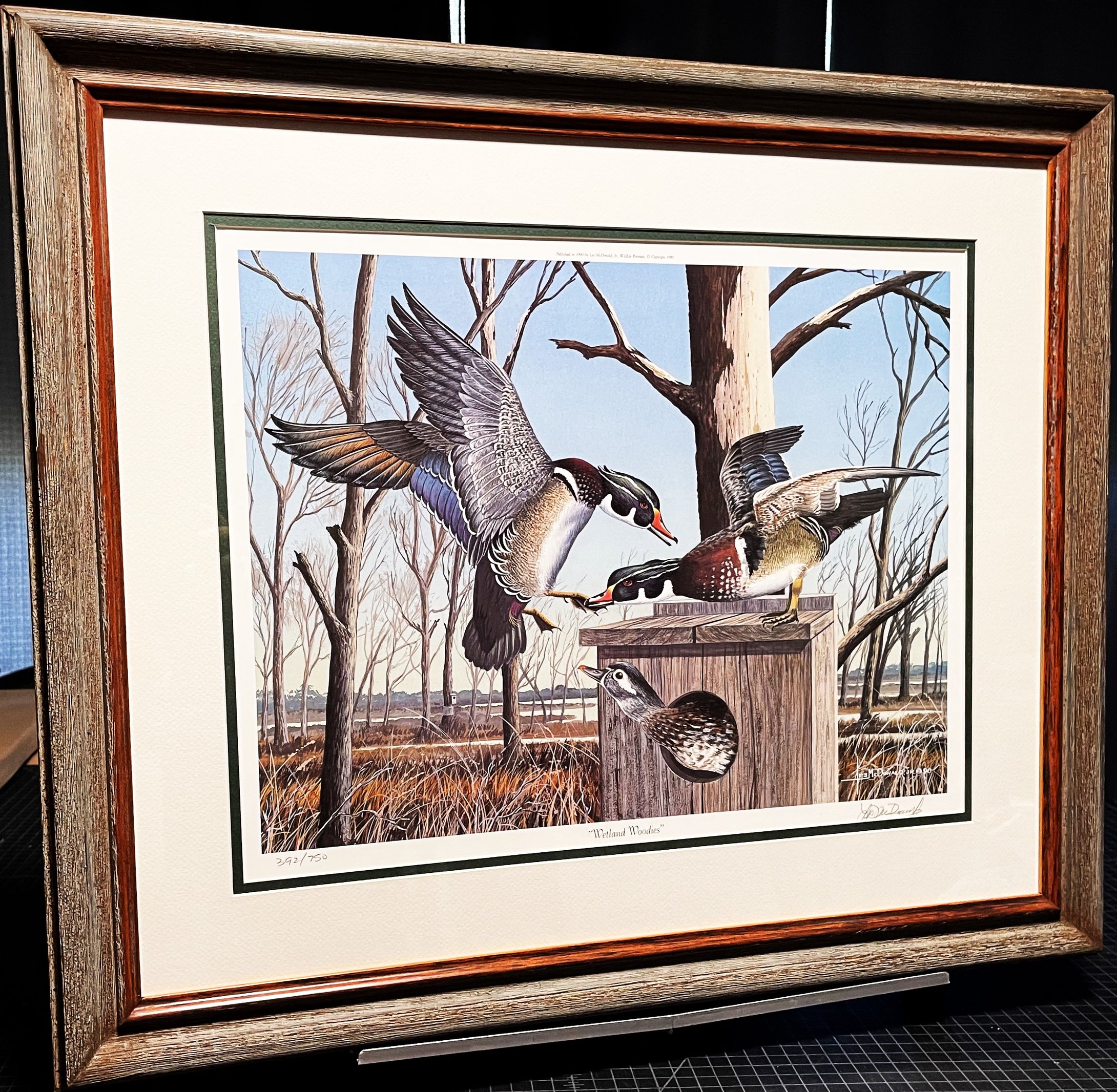 Les McDonald Wetland Woodies Lithograph - Brand New Super Custom Sporting Frame