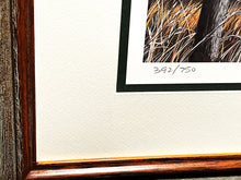Load image into Gallery viewer, Les McDonald &quot;Wetland Woodies&quot; Lithograph - Brand New Custom Sporting Frame