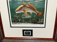 Load image into Gallery viewer, Don Ray 1994 Coastal Conservation Association CCA Stamp Print With Stamp - Brand New Super Custom Sporting Frame