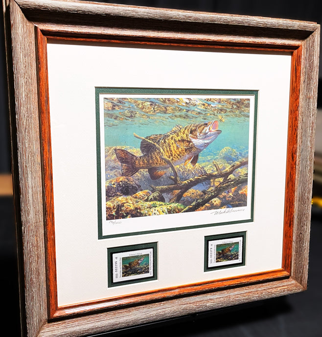 Mark Susinno  2007 Texas Freshwater Stamp Print With Double Stamps - Brand New Super Custom Sporting Frame
