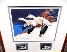 Load image into Gallery viewer, Martin Murk  1977 Federal Duck Stamp Print With Double Stamps - Brand New Custom Sporting Frame