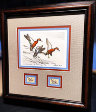 Load image into Gallery viewer, Maynard Reece 1971 Federal Duck Stamp Print First Edition Artist Proof With Double Stamps - Brand New Super Custom Sporting Frame
