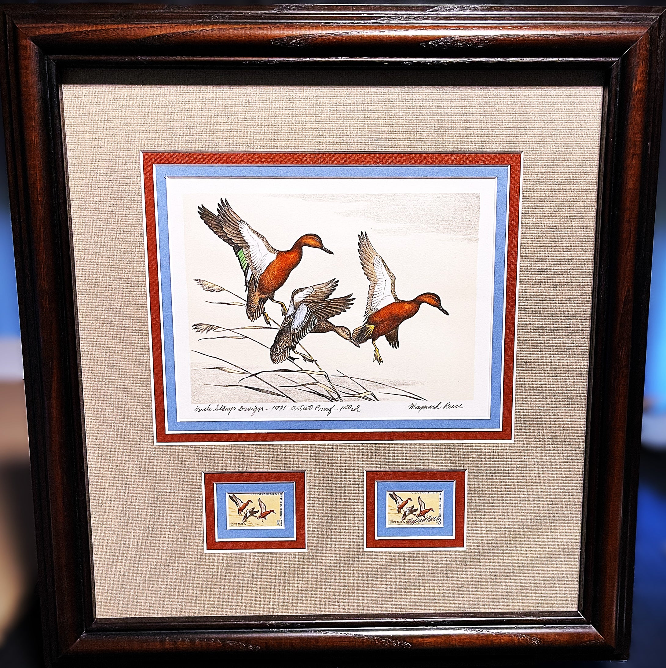 Maynard Reece 1971 Federal Duck Stamp Print First Edition Artist Proof With Double Stamps - Brand New Super Custom Sporting Frame