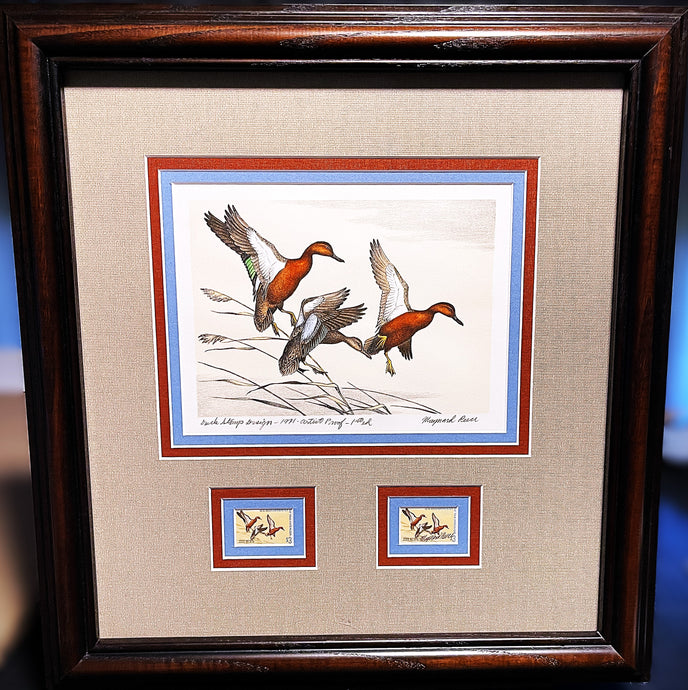Maynard Reece 1971 Federal Duck Stamp Print First Edition Artist Proof With Double Stamps - Brand New Super Custom Sporting Frame