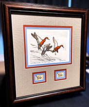 Load image into Gallery viewer, Maynard Reece 1971 Federal Duck Stamp Print First Edition Artist Proof With Double Stamps - Brand New Super Custom Sporting Frame