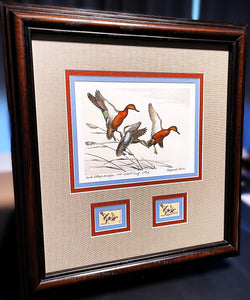 Maynard Reece 1971 Federal Duck Stamp Print First Edition Artist Proof With Double Stamps - Brand New Super Custom Sporting Frame