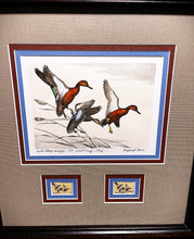 Load image into Gallery viewer, Maynard Reece 1971 Federal Duck Stamp Print First Edition Artist Proof With Double Stamps - Brand New Super Custom Sporting Frame
