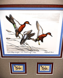 Maynard Reece 1971 Federal Duck Stamp Print First Edition Artist Proof With Double Stamps - Brand New Super Custom Sporting Frame
