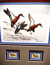 Load image into Gallery viewer, Maynard Reece 1971 Federal Duck Stamp Print First Edition Artist Proof With Double Stamps - Brand New Super Custom Sporting Frame