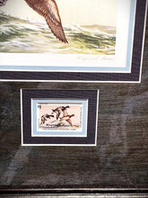 Load image into Gallery viewer, Maynard Reece 1977 Iowa State Duck Stamp Print With Double Stamps - Brand New Super Custom Sporting Frame