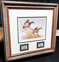 Load image into Gallery viewer, Maynard Reece 1988 National Fish And Wildlife Foundation Ducks Unlimited Edition Stamp Print With Double Stamps&quot; - Autumn Wings - Brand New Super Custom Sporting Frame
