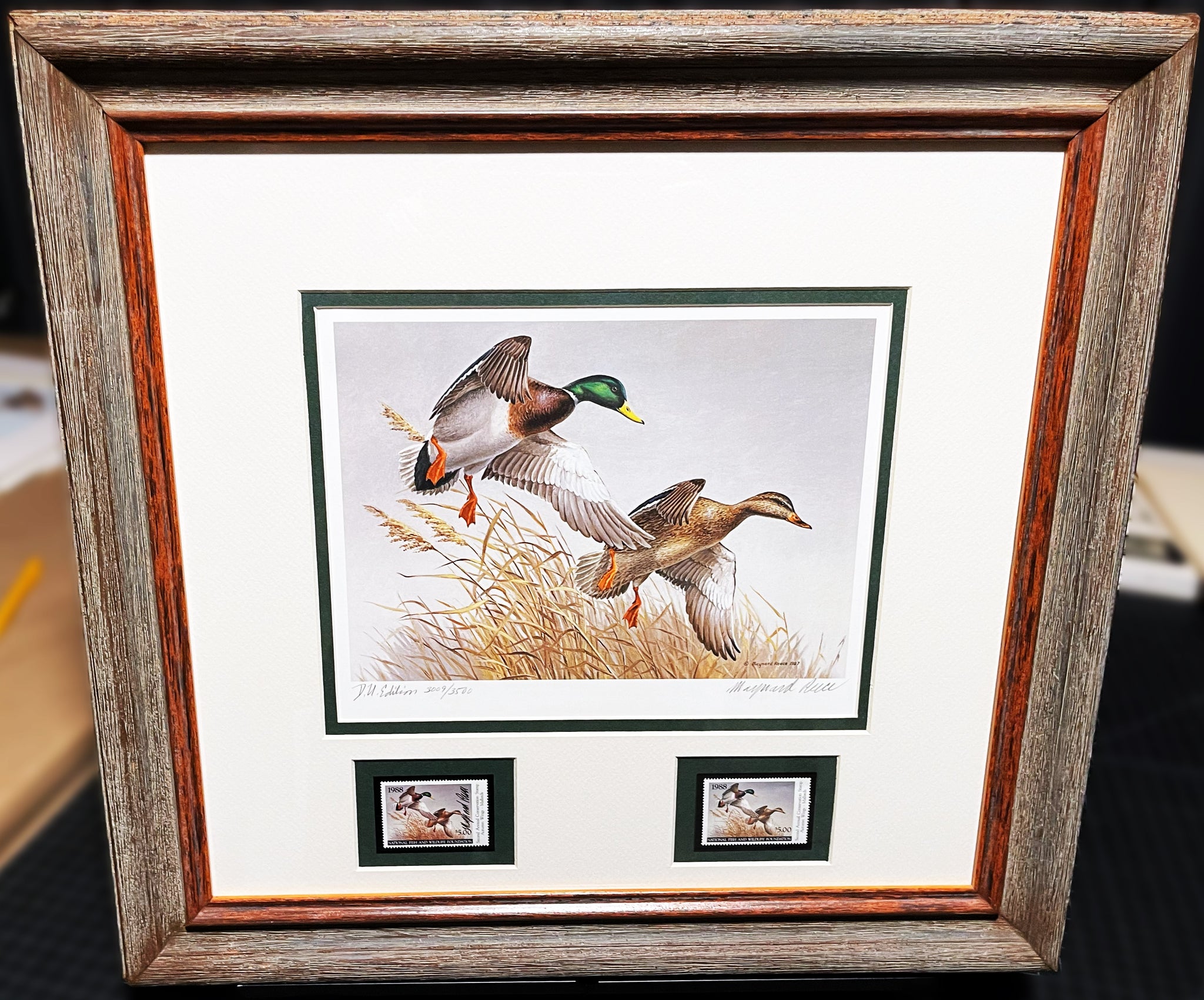Marnard Reece Maynard Reece 1988 National Fish And Wildlife Foundation Ducks Unlimit ...