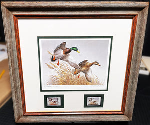 Maynard Reece  1988 National Fish And Wildlife Foundation Ducks Unlimited Edition Stamp Print With Double Stamps" - Autumn Wings - Brand New Custom Sporting Frame