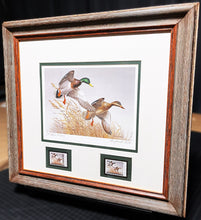 Load image into Gallery viewer, Maynard Reece 1988 National Fish And Wildlife Foundation Ducks Unlimited Edition Stamp Print With Double Stamps&quot; - Autumn Wings - Brand New Super Custom Sporting Frame
