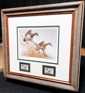 Maynard Reece 1988 National Fish And Wildlife Foundation Ducks Unlimited Edition Stamp Print With Double Stamps" - Autumn Wings - Brand New Super Custom Sporting Frame