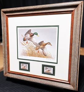 Maynard Reece  1988 National Fish And Wildlife Foundation Ducks Unlimited Edition Stamp Print With Double Stamps" - Autumn Wings - Brand New Custom Sporting Frame