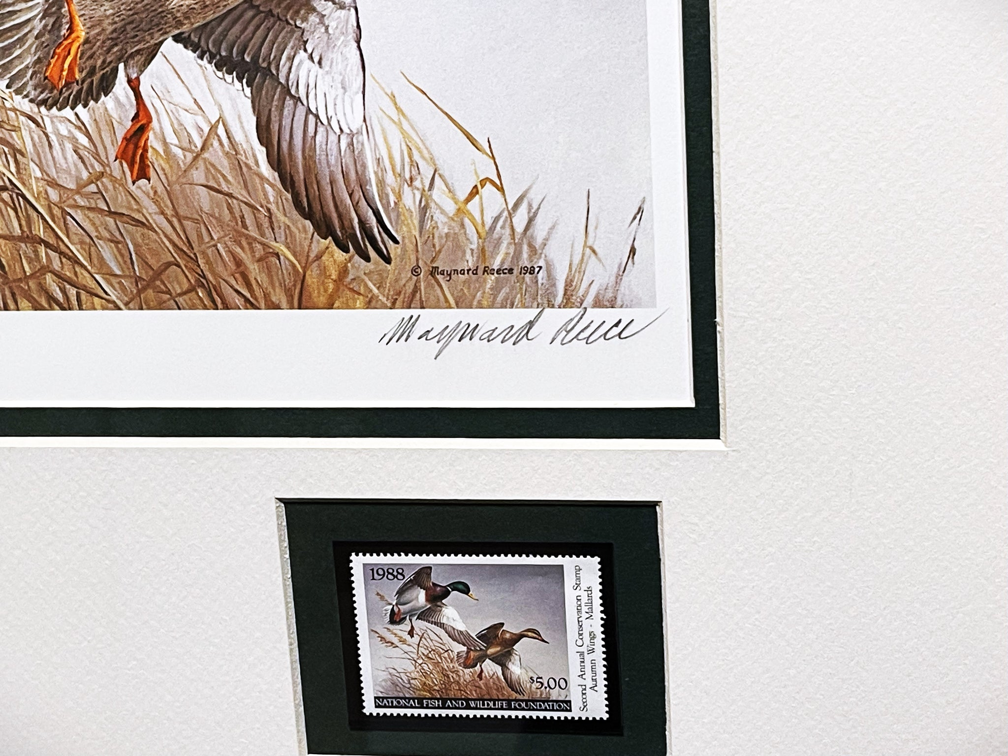 Maynard Reece Artist Maynard Reece 1988 National Fish And Wildlife Foundation Ducks Unlimit ...