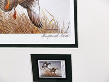 Load image into Gallery viewer, Maynard Reece  1988 National Fish And Wildlife Foundation Ducks Unlimited Edition Stamp Print With Double Stamps&quot; - Autumn Wings - Brand New Custom Sporting Frame