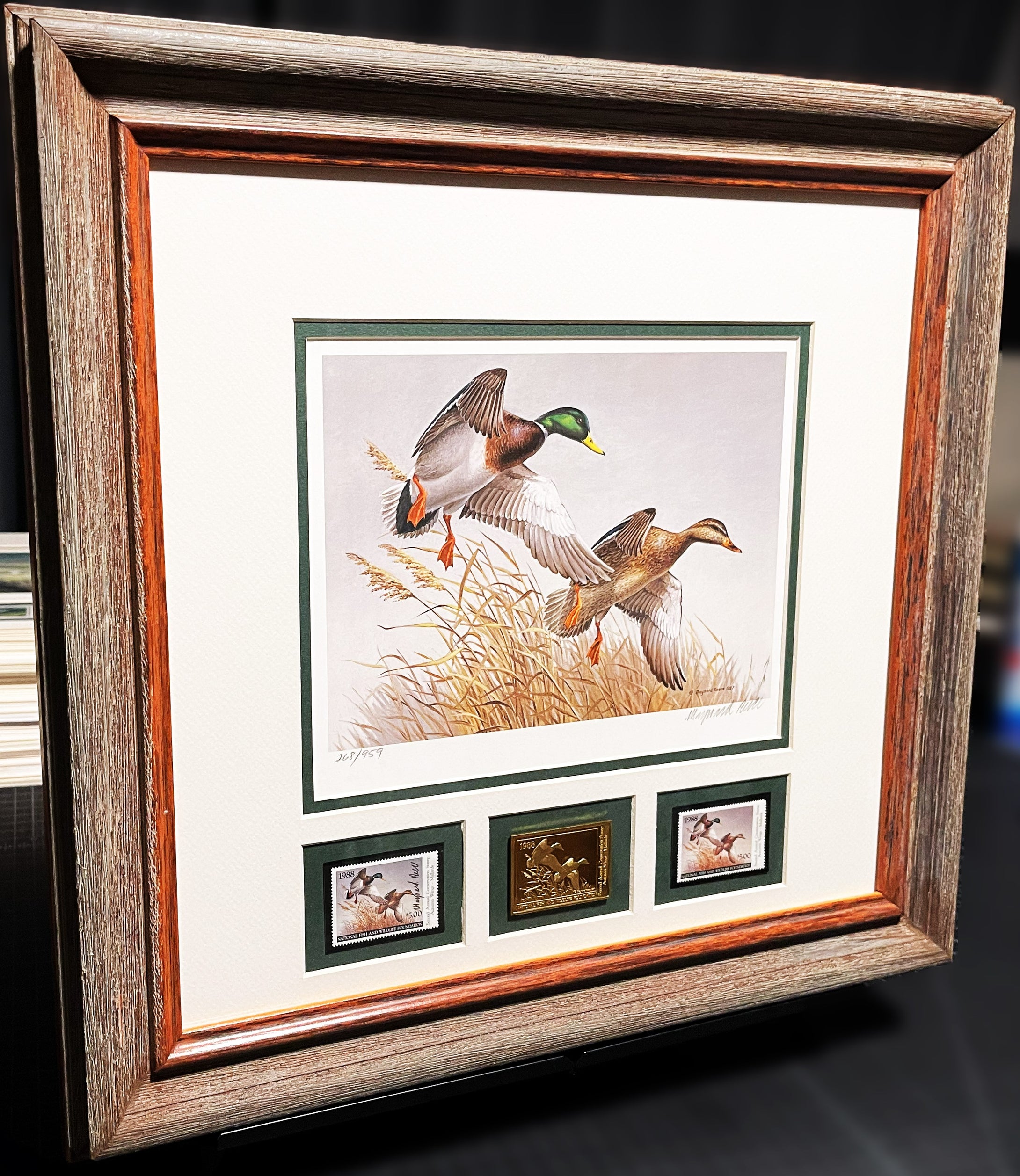 Maynard Reece  1988 National Fish And Wildlife Foundation Duck Stamp Print Gold Medallion Edition With Double Stamps - Autumn Wings - Brand New Custom Sporting Frame
