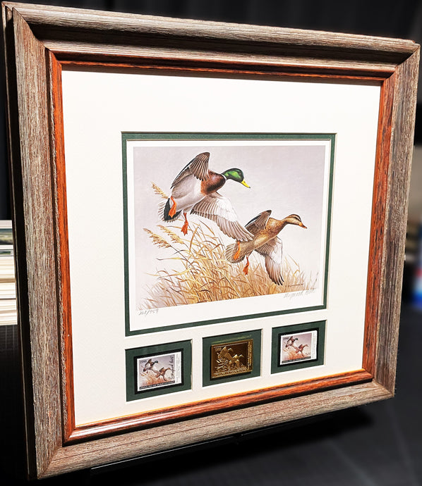 Maynard Reece 1988 National Fish And Wildlife Foundation Stamp Print Gold Medallion Edition With Double Stamps - Autumn Wings - Brand New Super Custom Sporting Frame