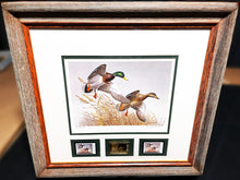 Load image into Gallery viewer, Maynard Reece  1988 National Fish And Wildlife Foundation Duck Stamp Print Gold Medallion Edition With Double Stamps - Autumn Wings - Brand New Custom Sporting Frame