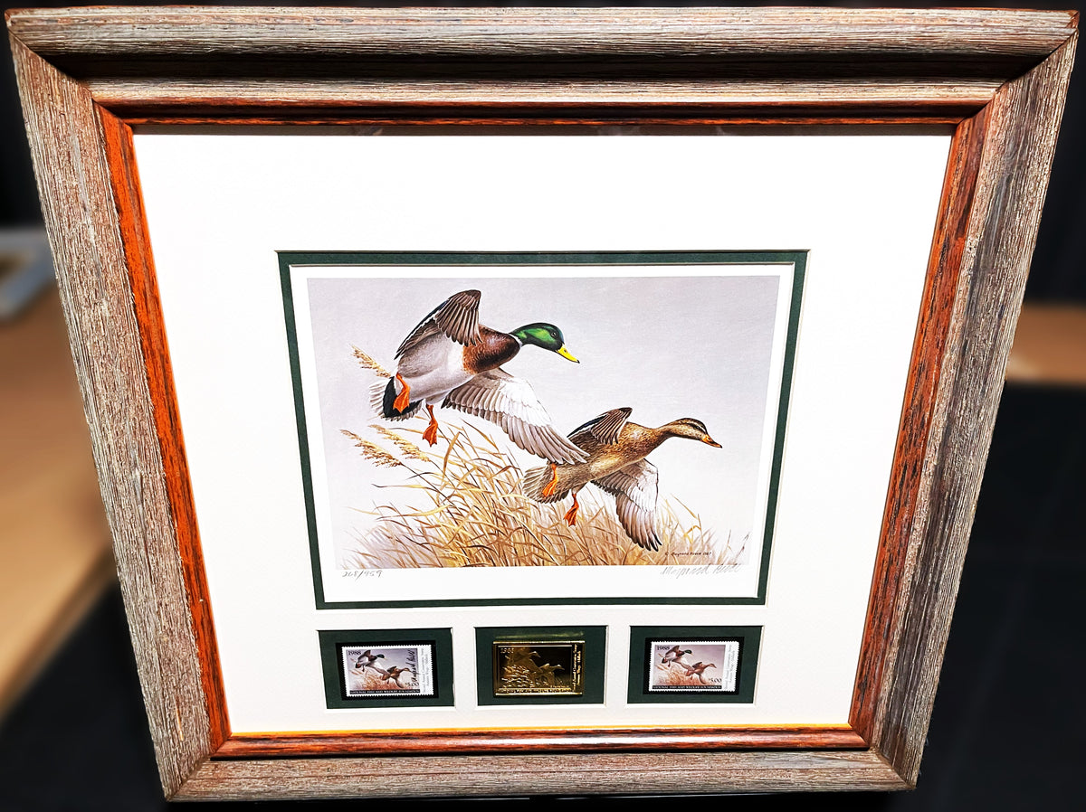 Maynard Reece Maynard Reece 1988 National Fish And Wildlife Foundation Stamp Print G ...