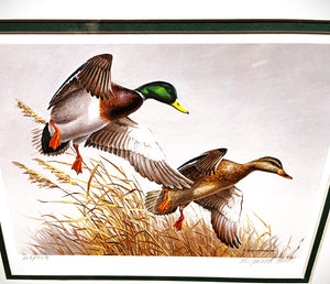Maynard Reece  1988 National Fish And Wildlife Foundation Duck Stamp Print Gold Medallion Edition With Double Stamps - Autumn Wings - Brand New Custom Sporting Frame