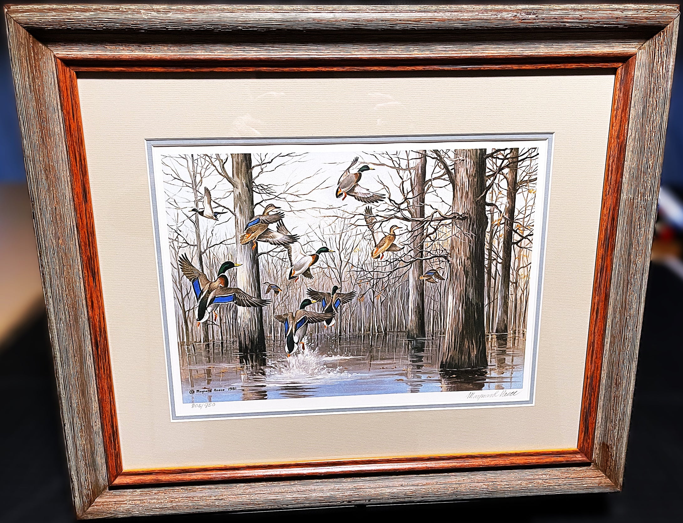 Maynard Reece Timber Mallard's Lithograph Classic Greenhead Ducks - Brand New Super Custom Sporting Frame