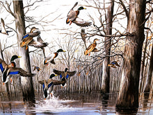 Load image into Gallery viewer, Maynard Reece Timber Mallard&#39;s Lithograph Classic Greenhead Ducks - Brand New Super Custom Sporting Frame